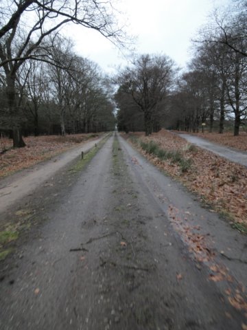 NWK 020.jpg